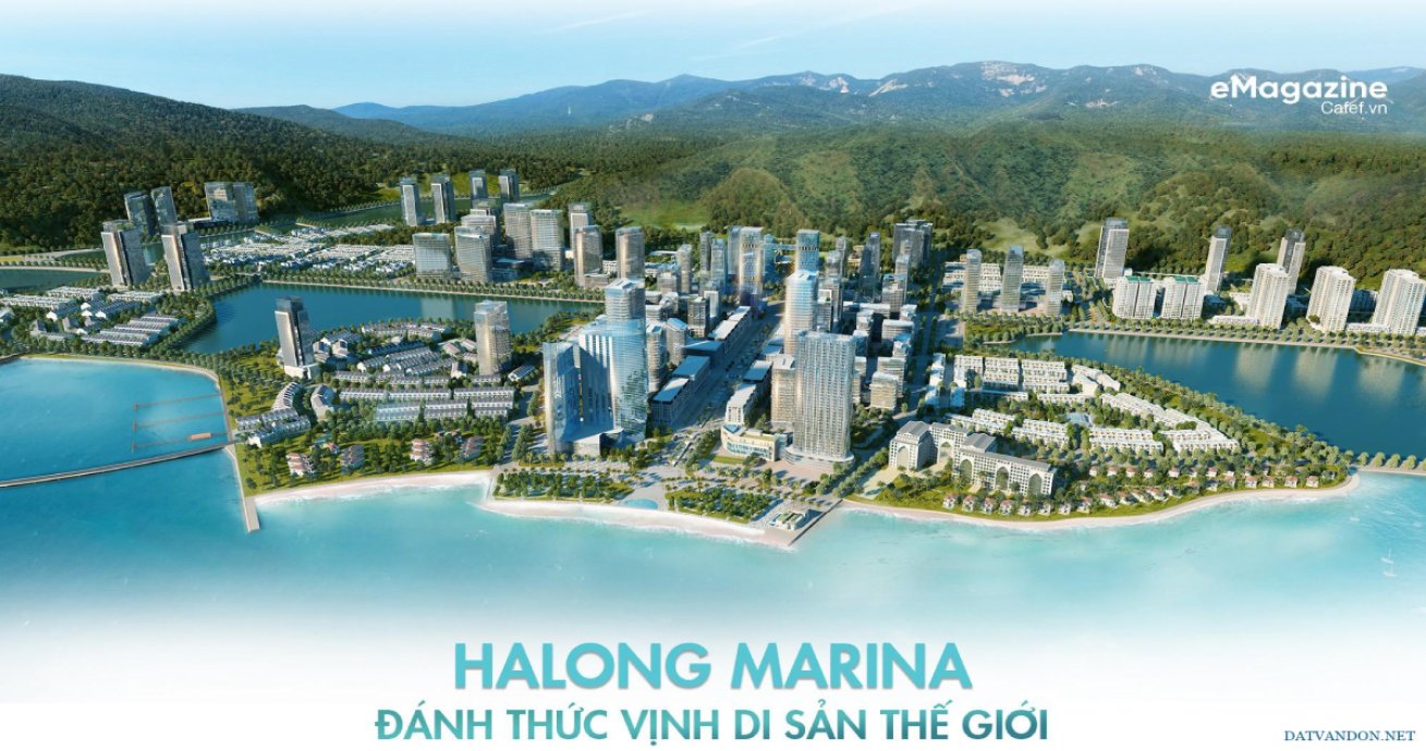 CÔNG TRÌNH MARINA HẠ LONG